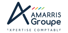 Logo Amarris Groupe - accueil